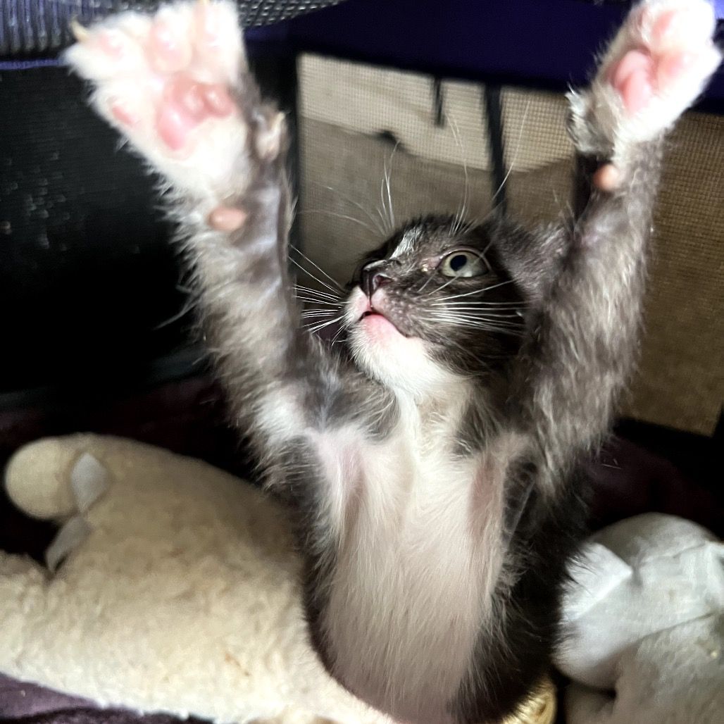 Hello my name is Donny