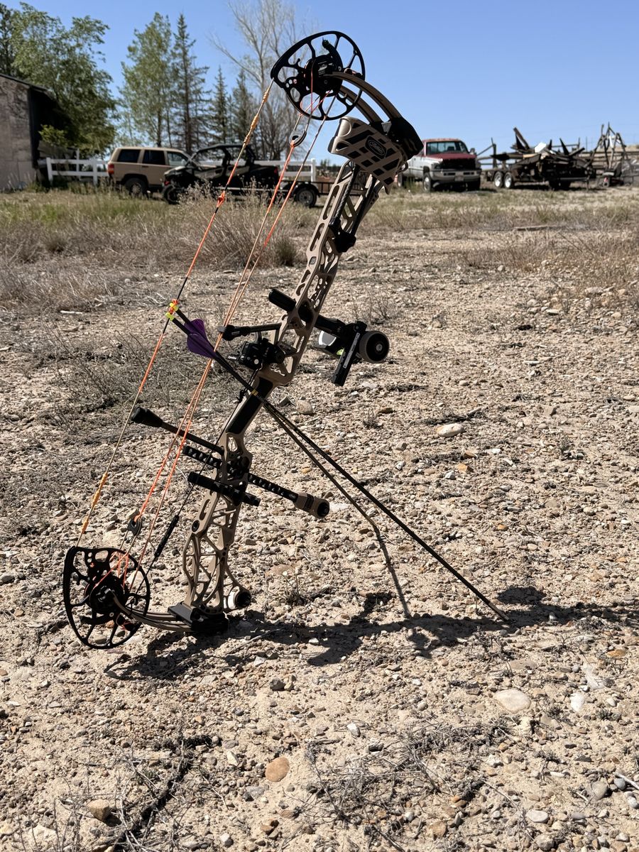Main image 3