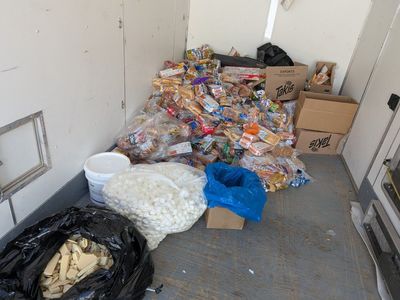 Free Bear Bait