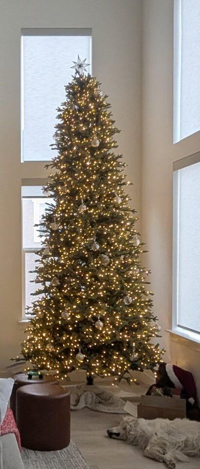 Costco 12  FT Christmas Tree