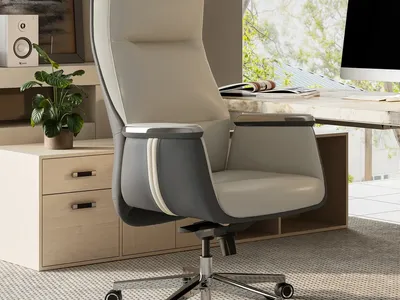 Eureka Royal II, Silicone & Leather Executive Ergonomic Office Chair
