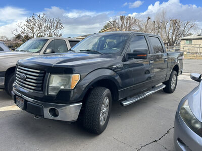 2010 Ford F-150 Platinum