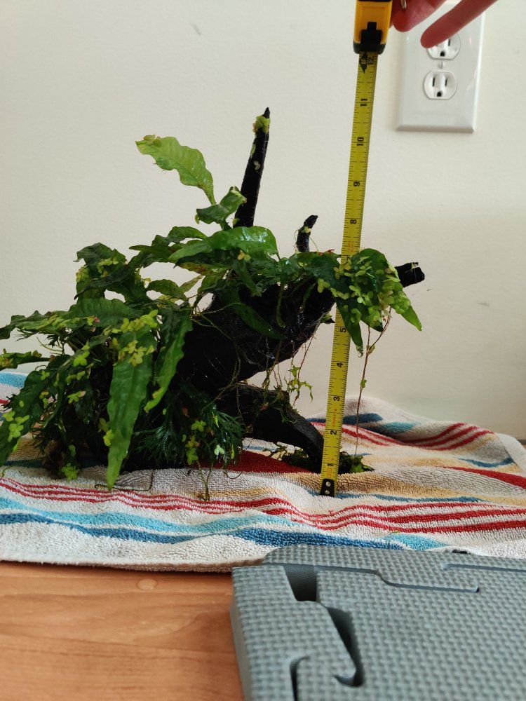 Main image 4