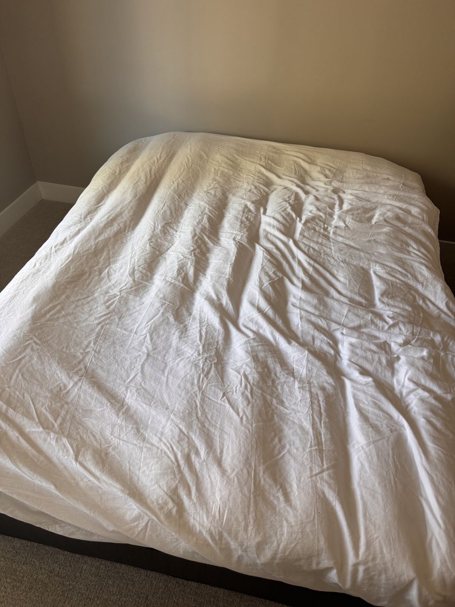 Full Size Mattress + Box Spring + Down Duvet — Brand New, Never Slept On