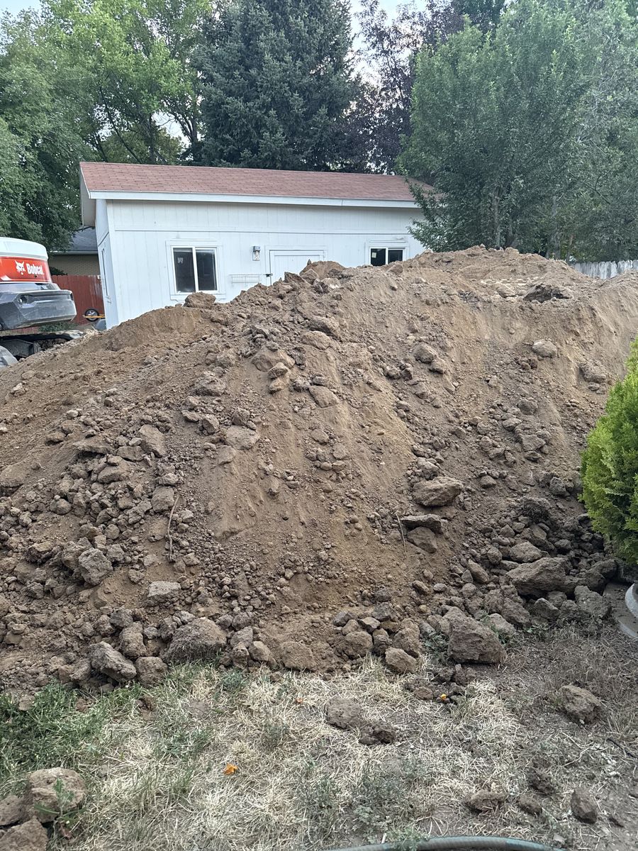 FREE SOIL