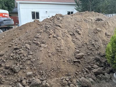 FREE SOIL