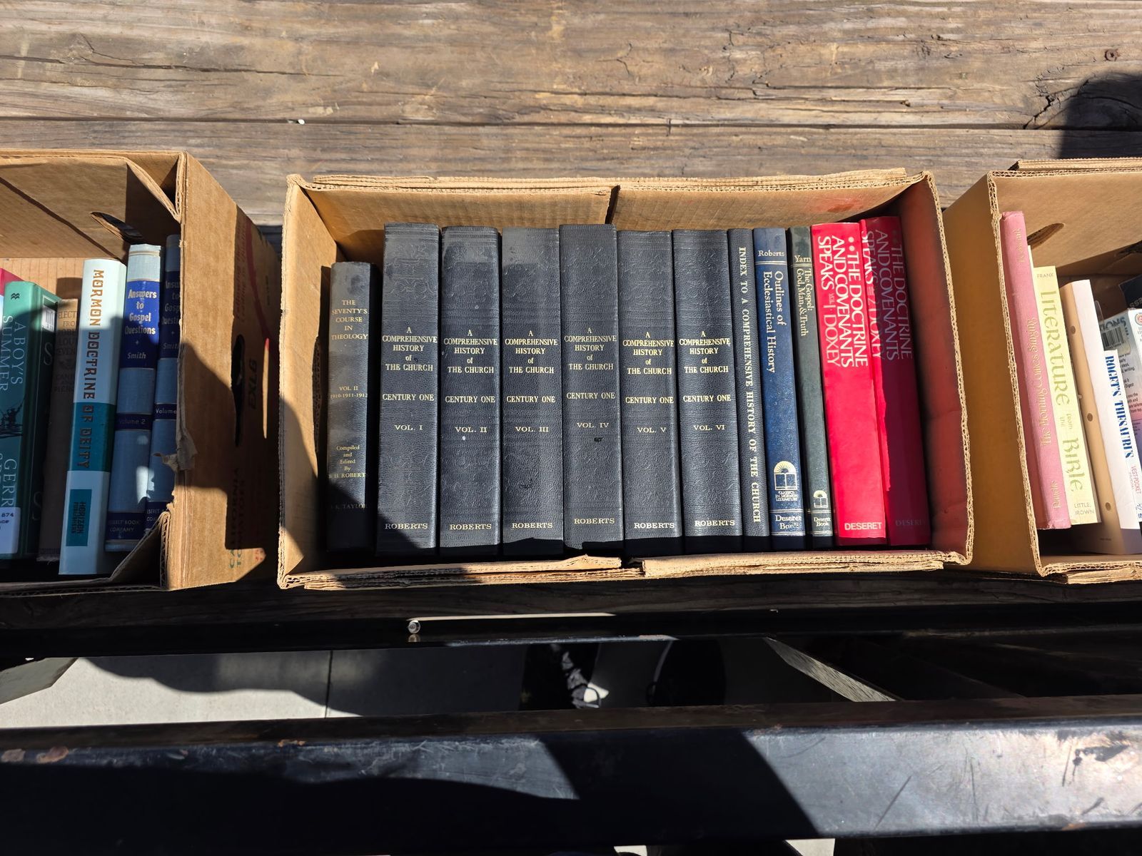 LDS books