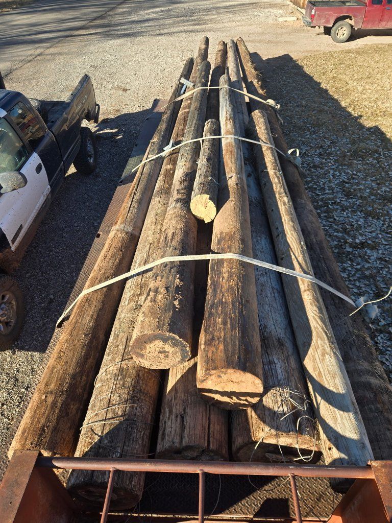 telephone or power poles