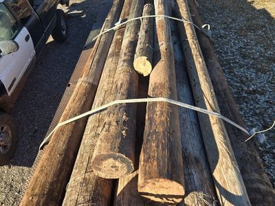 telephone or power poles