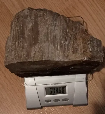 6 Pound piece of nice Petrified Wood cut