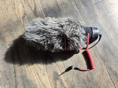 RODE VideoMic Go