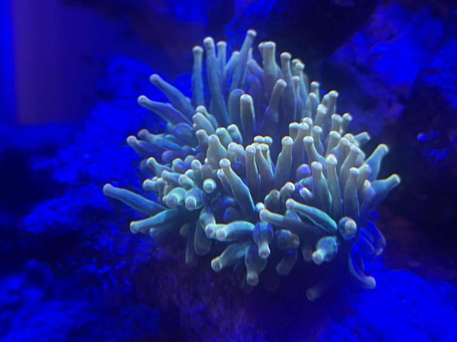 Main image 2