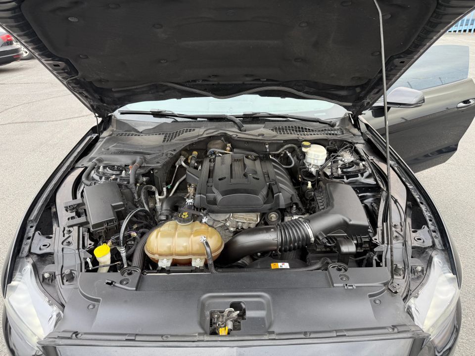 Main image 3