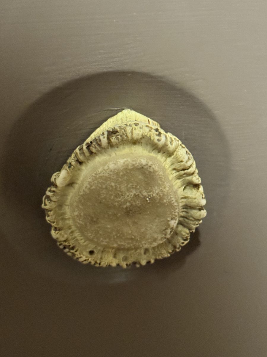 Main image 15