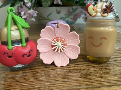 Bath & Body Works Pocket Bacs $5 all