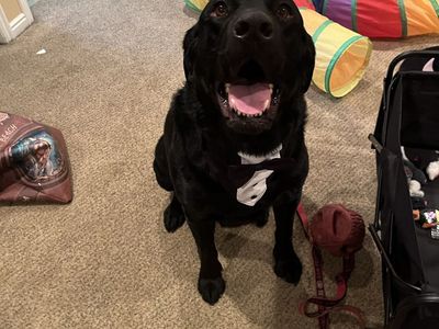 Tucker 5years old