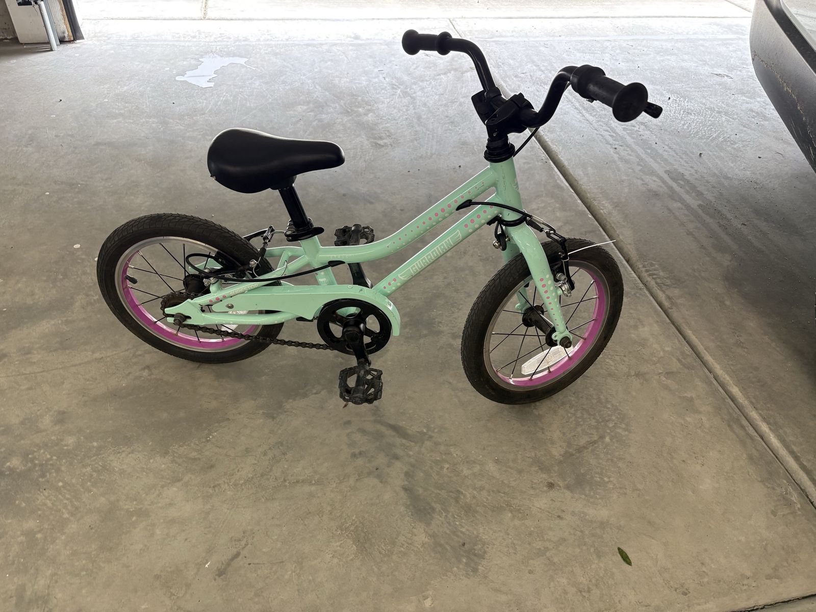Guardian Bikes Kids' 14" Bike - Teal/Pink