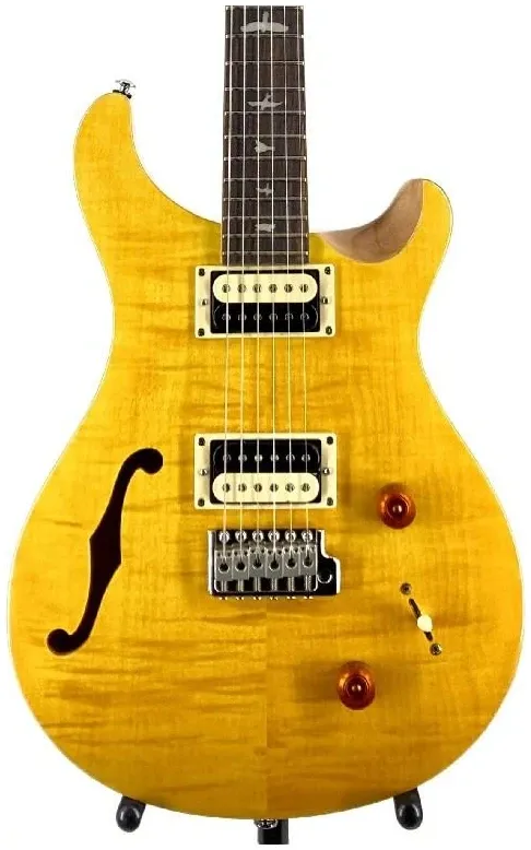 PRS SE Custom 22 Semi Hollow
