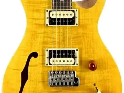 PRS SE Custom 22 Semi Hollow