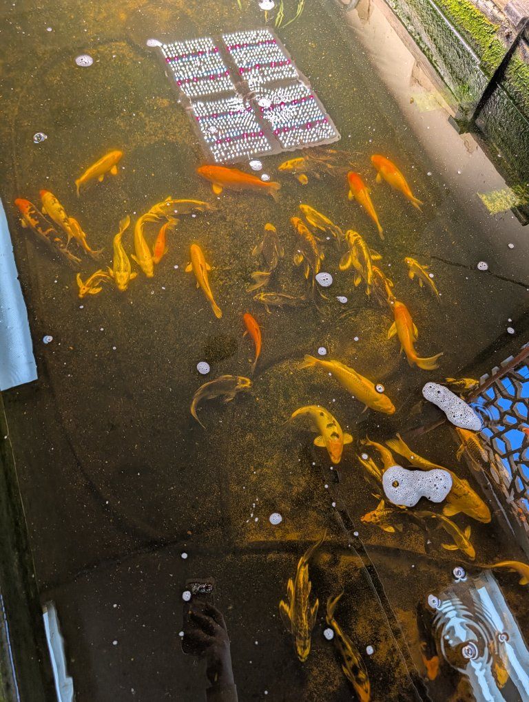 Main image 6