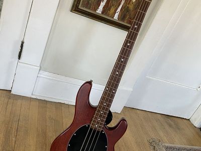 Stingray Bass Guitar