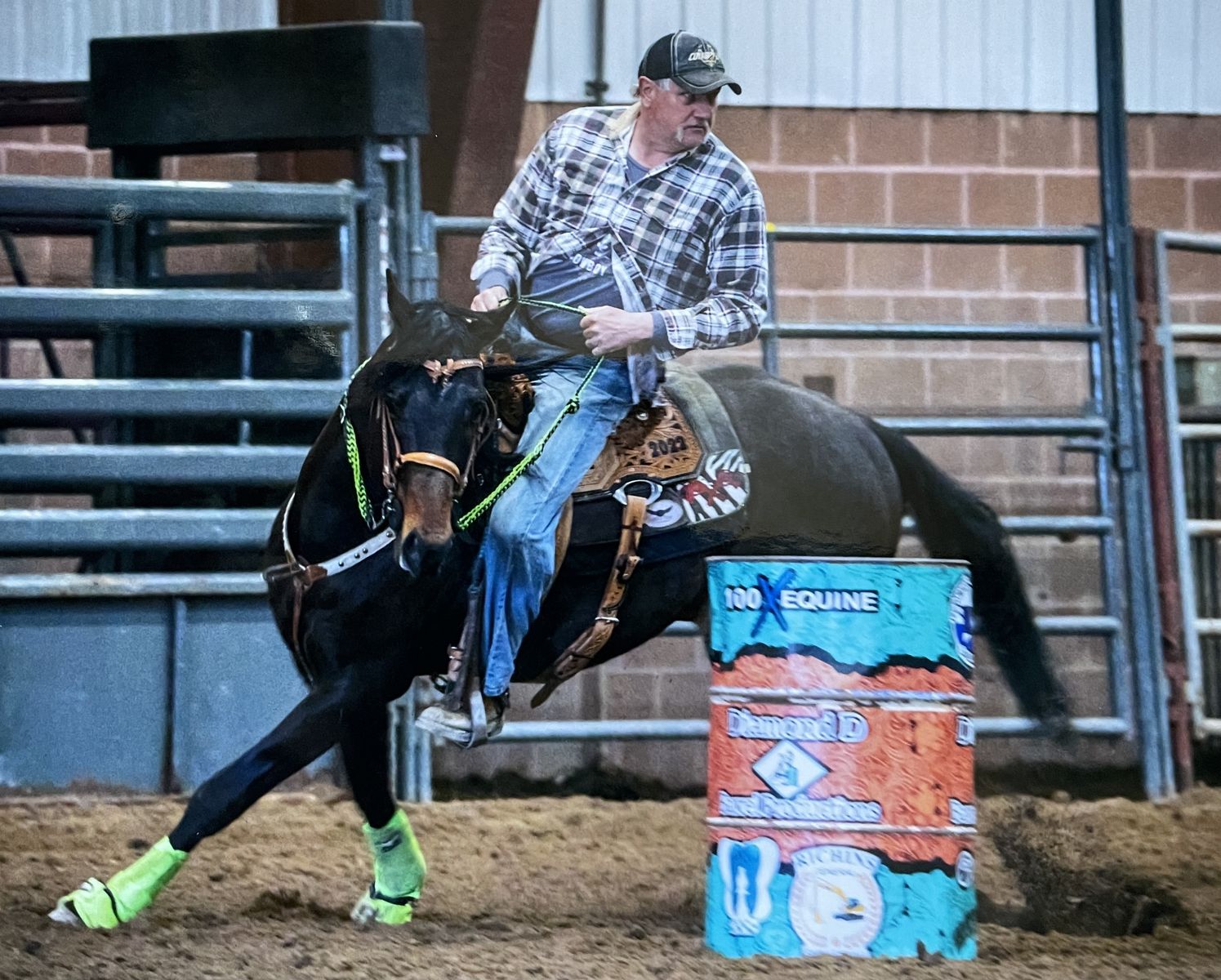 2018 AQHA horse For Sale Part Trade