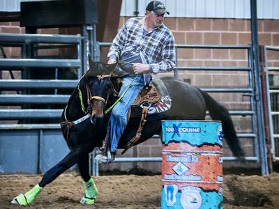 2018 AQHA horse For Sale Part Trade