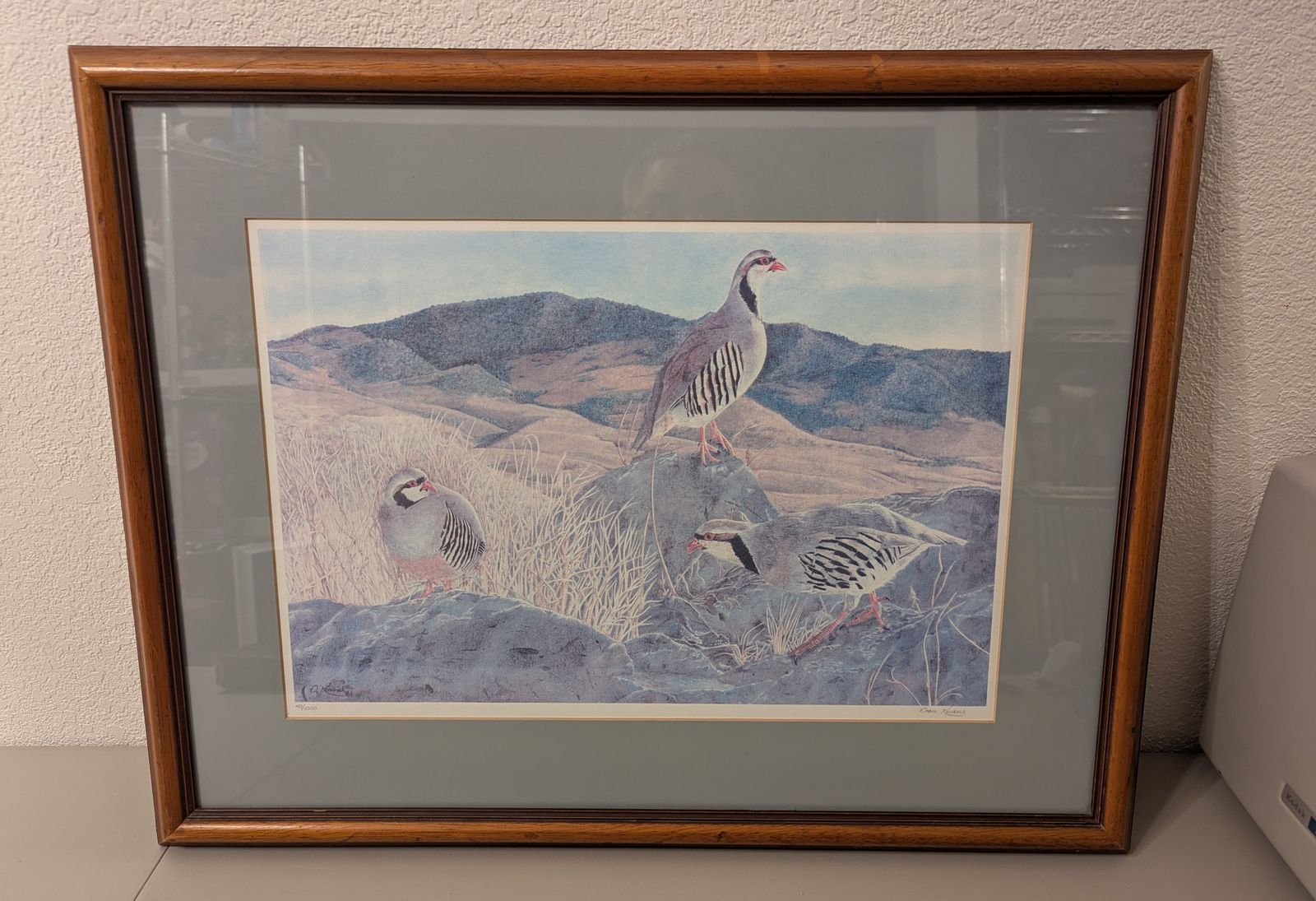 limited edition lithograph by artist debra kendrick  1984