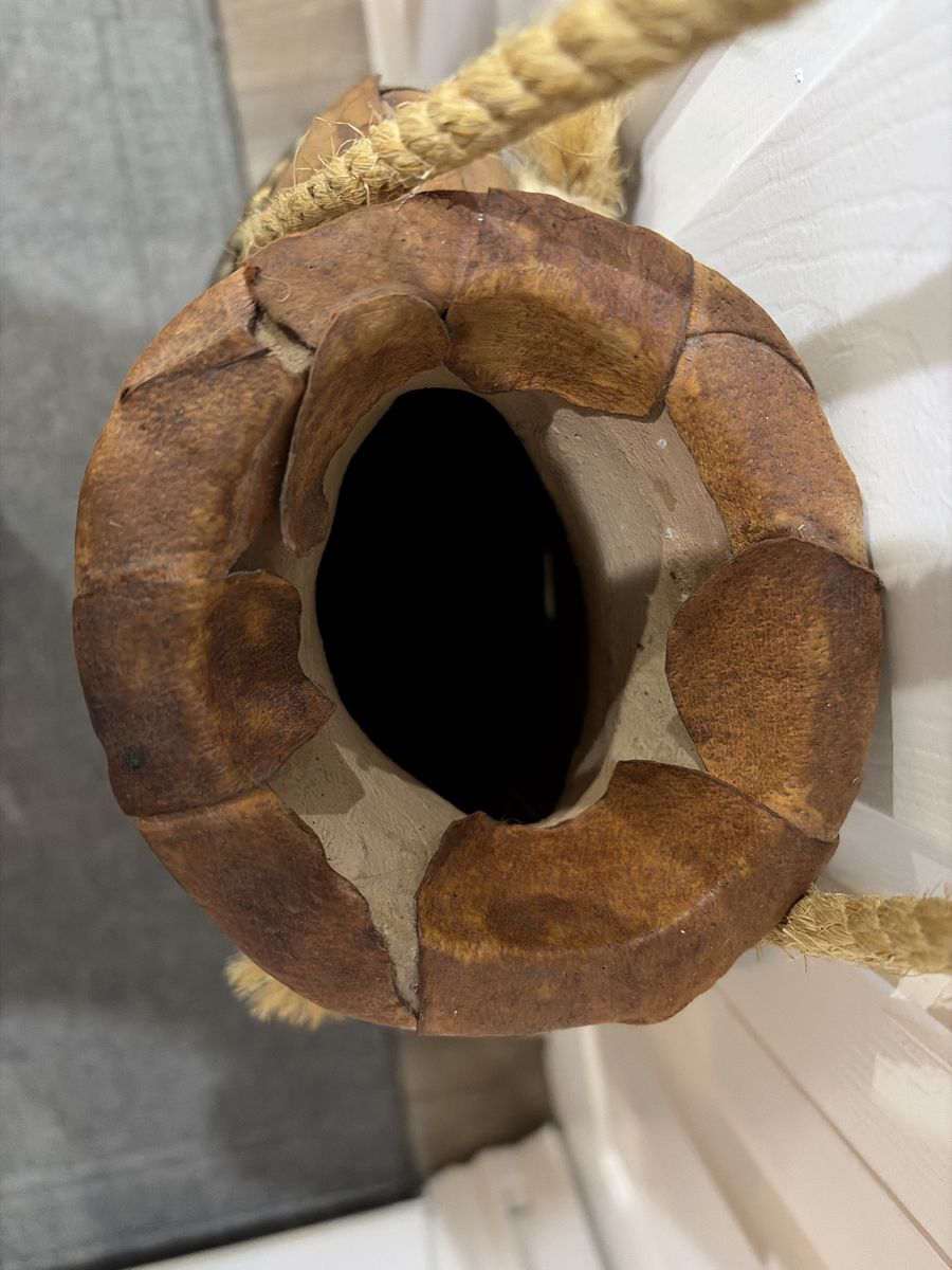 Main image 7