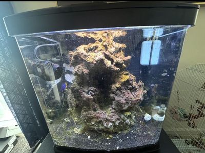 Coralife BioCube 16-Gallon Complete Saltwater Aquarium Setup With Stand — $375 OBO