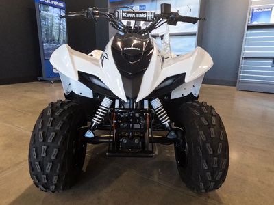 2026 Kawasaki KFX®50
