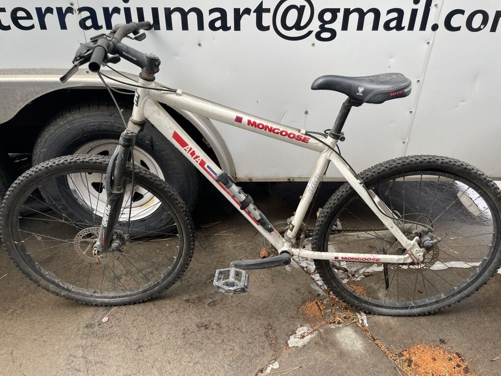 Mongoose Alta Mountain Bike