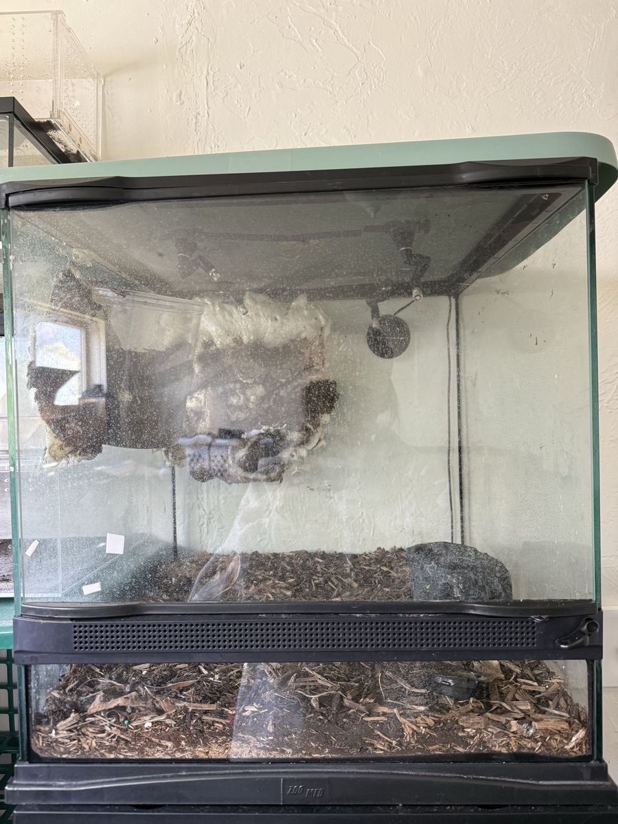 18x18x18 Zoo Med Terrarium