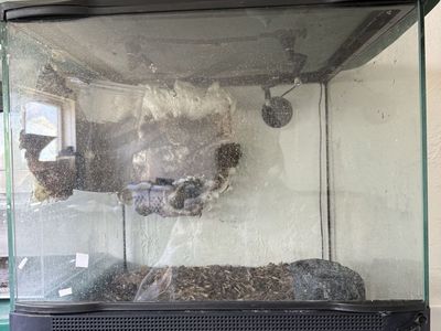 18x18x18 Zoo Med Terrarium