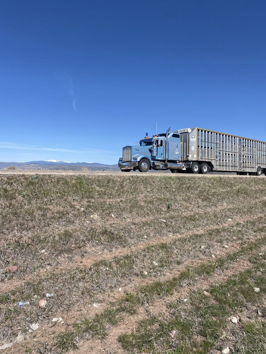 Kenworth C-15