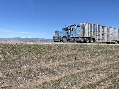 Kenworth C-15