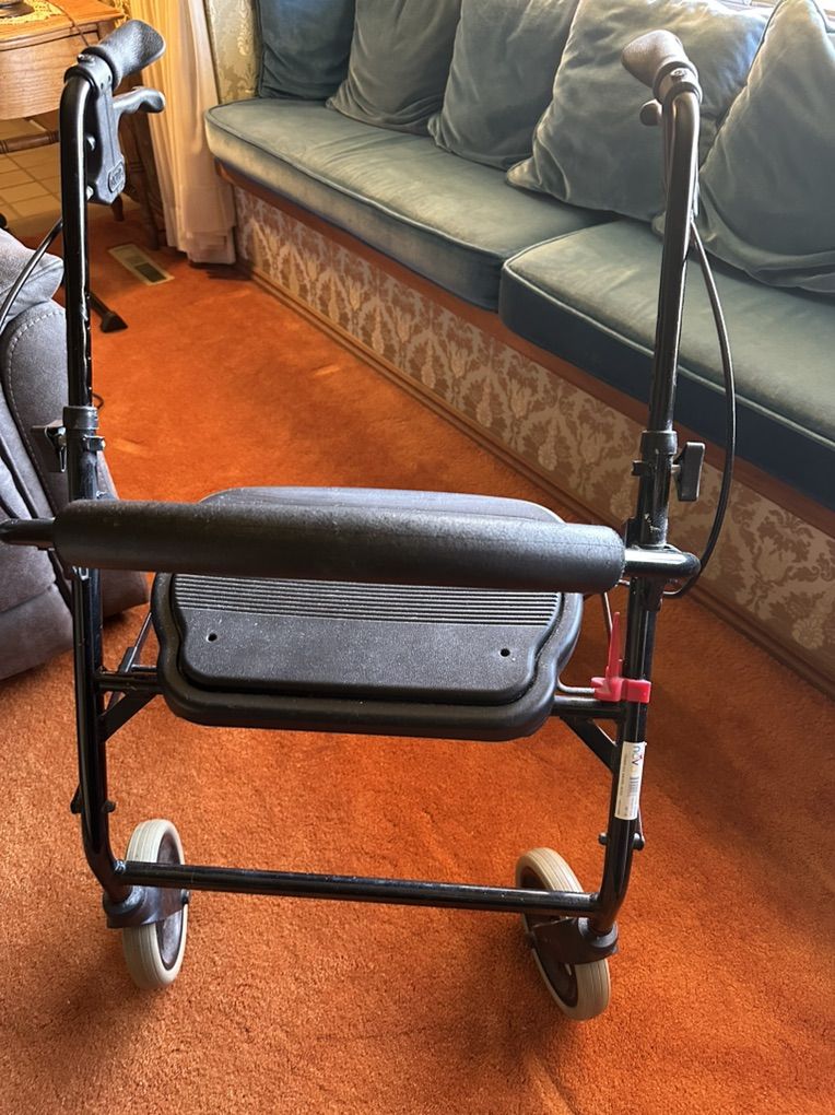 Nova Deluxe Cruiser Walker