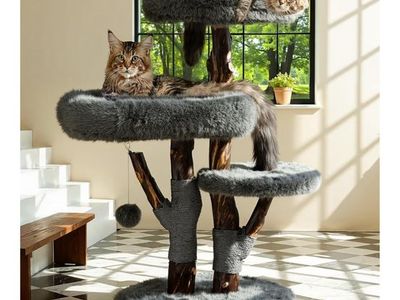 Solid Wood Cat Tree Tower for Large Cats Dark Gray Faux