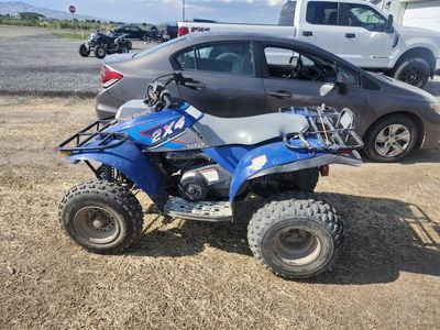 1995 Polaris 2x4 300