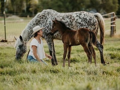 2026 Solid Appy Colt