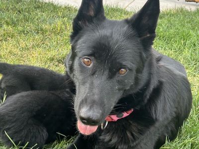 Hello my name is Ember