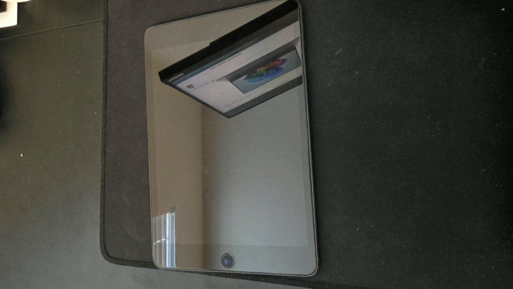 Apple Ipad Mini Gen 5 256