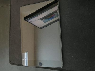 Apple Ipad Mini Gen 5 256