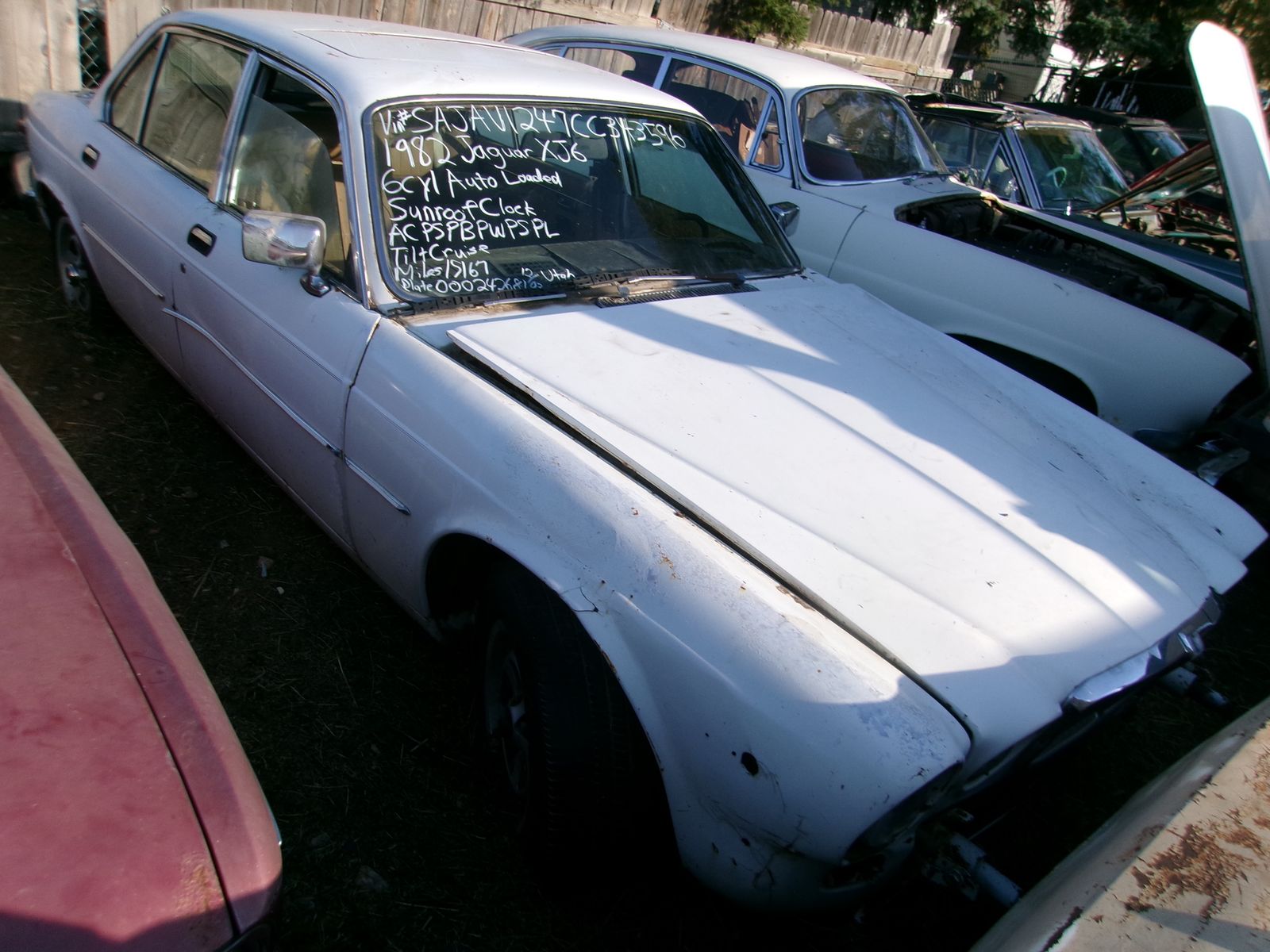1982 Jaguar XJ6
