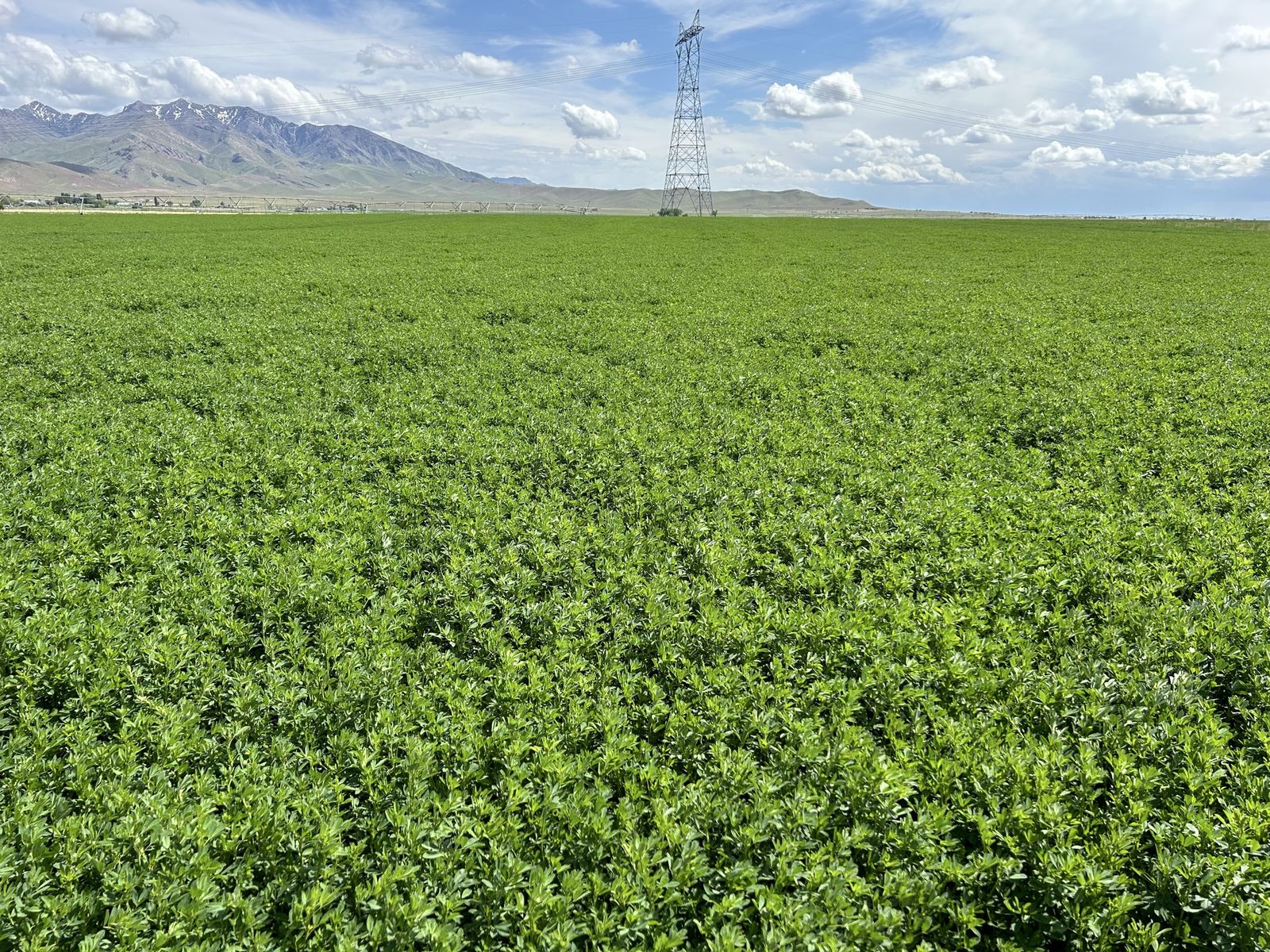 370 Acre Farm For Sale