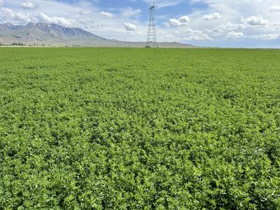 370 Acre Farm For Sale