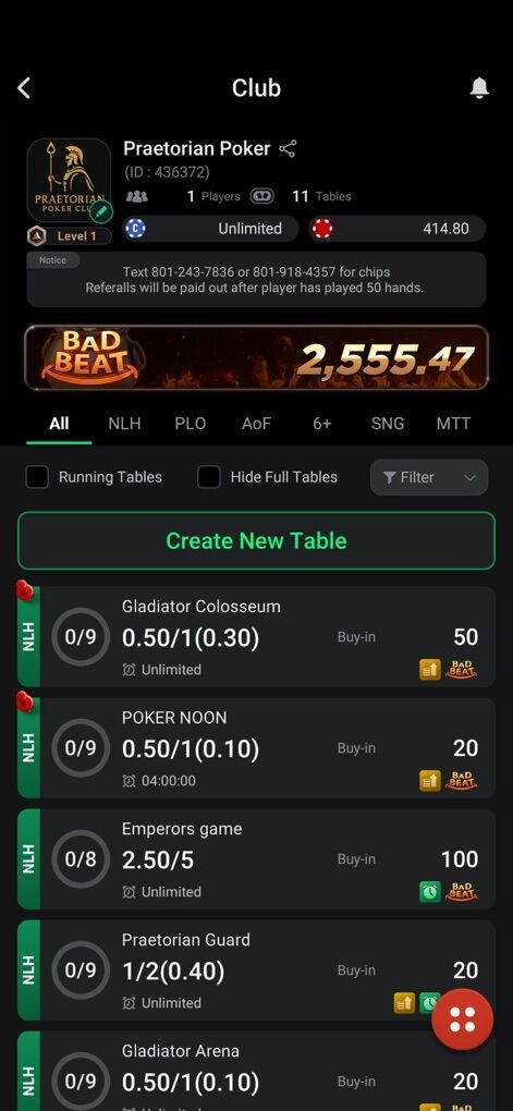 Poker Table And Chips For Sale