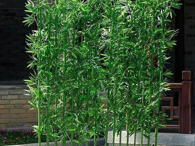 New - Artificial Bamboo Tree , Simulated plant Decorations/Greenery
