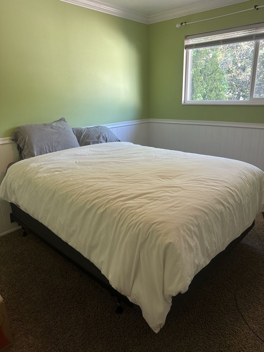 Lightly Used Guest Bed