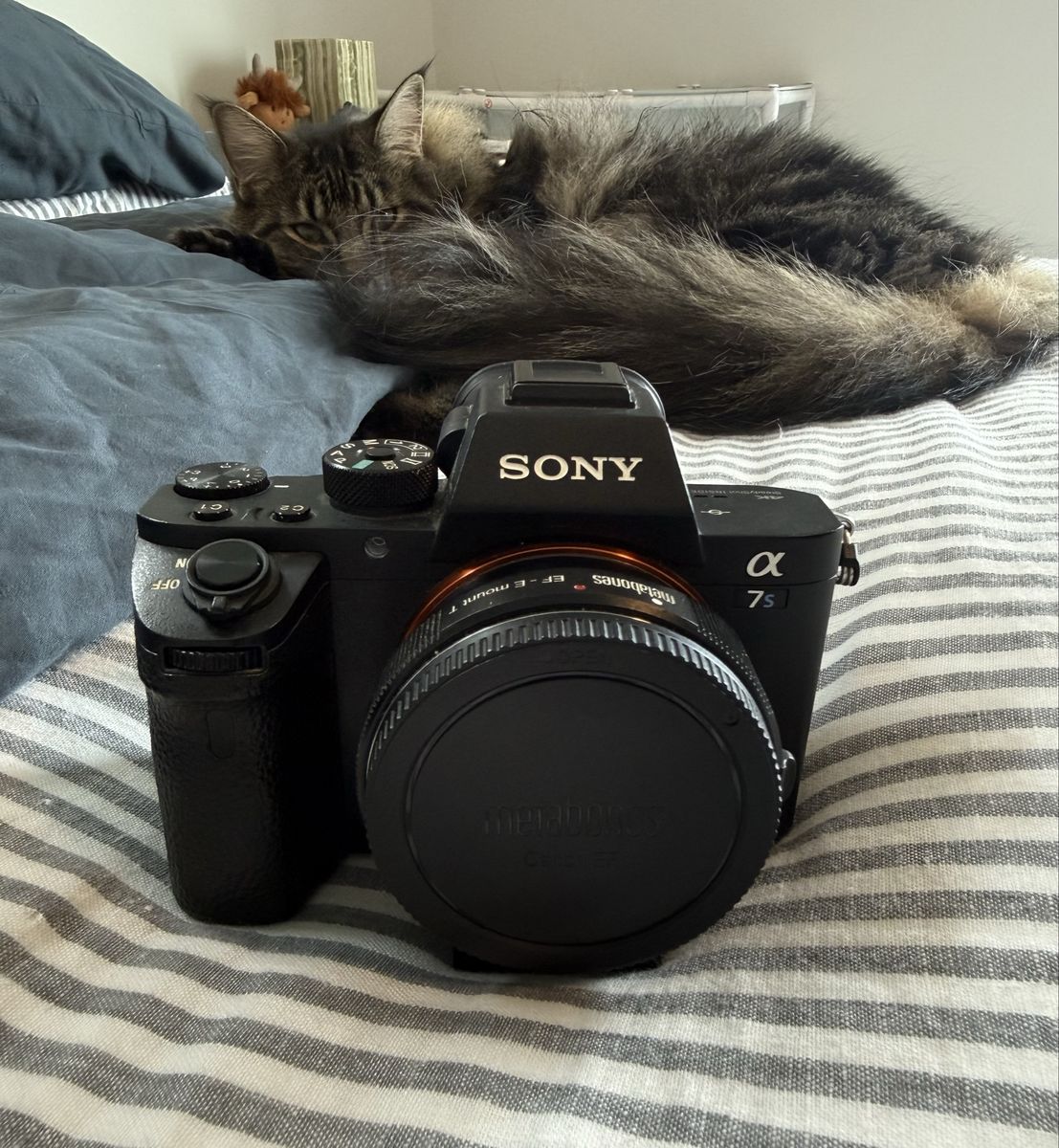 Sony a7S II bundle
